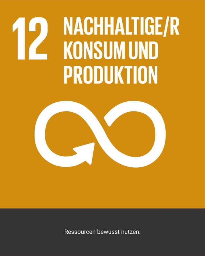 SDG 12 – Nachhaltiger Konsum und Produktion