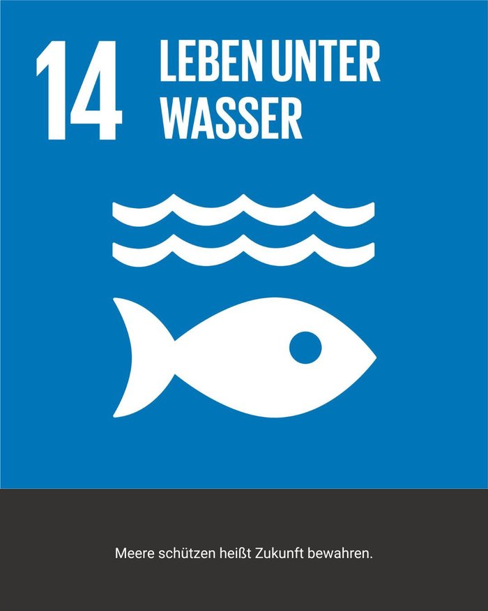 SDG 14 – Leben unter Wasser