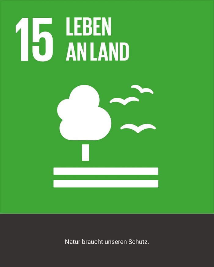 SDG 15 – Leben an Land